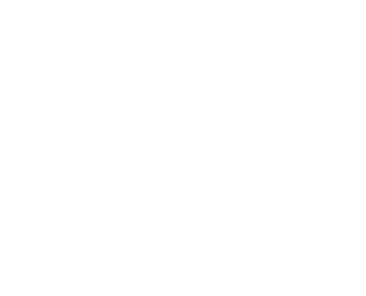 PlanToys Chile