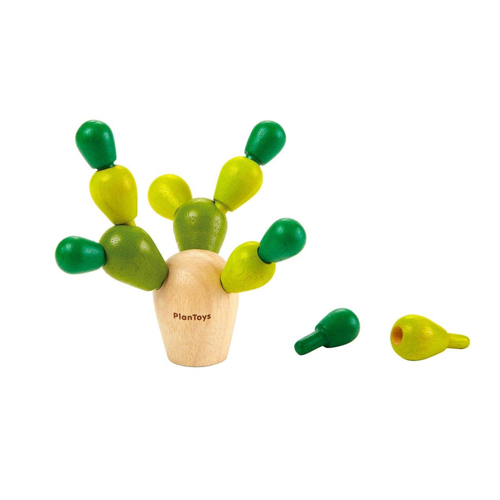 Mini Cactus de Equilibrio
